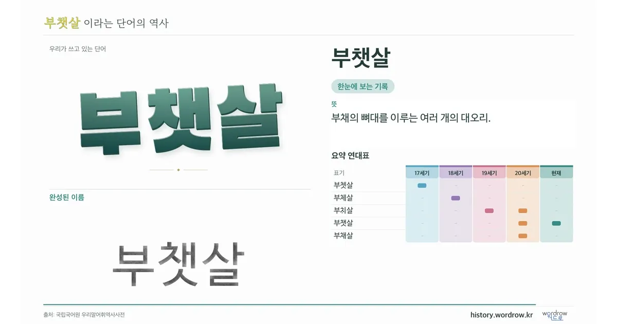 부챗살 대표 이미지