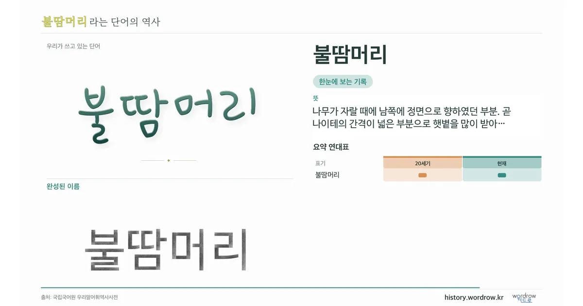 불땀머리 대표 이미지