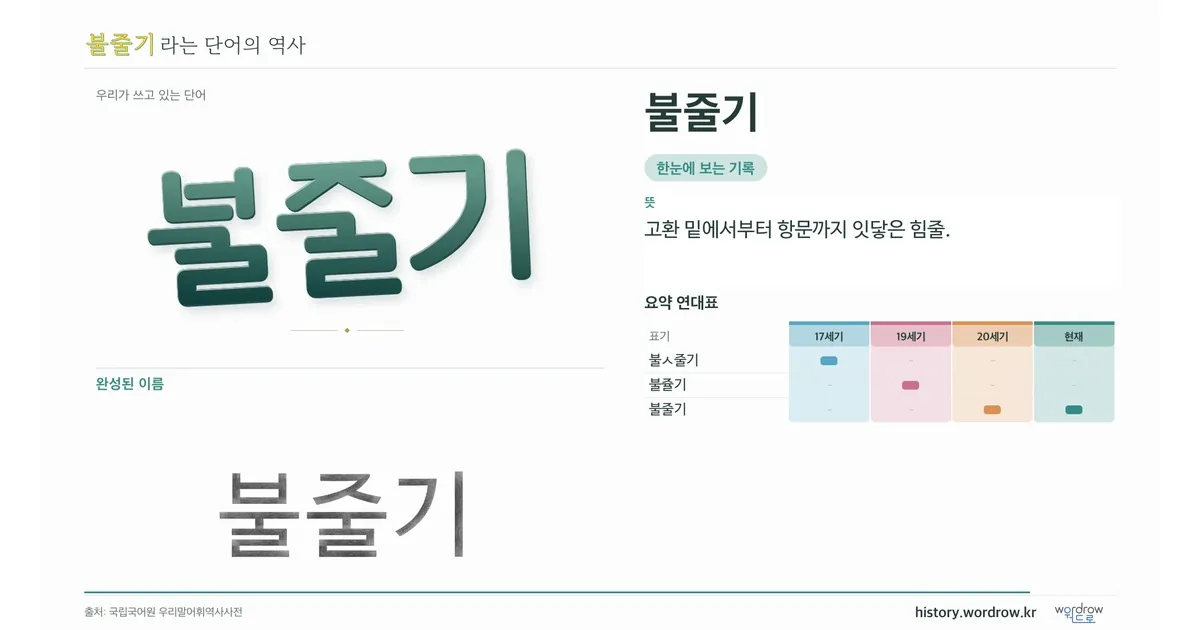 불줄기 대표 이미지