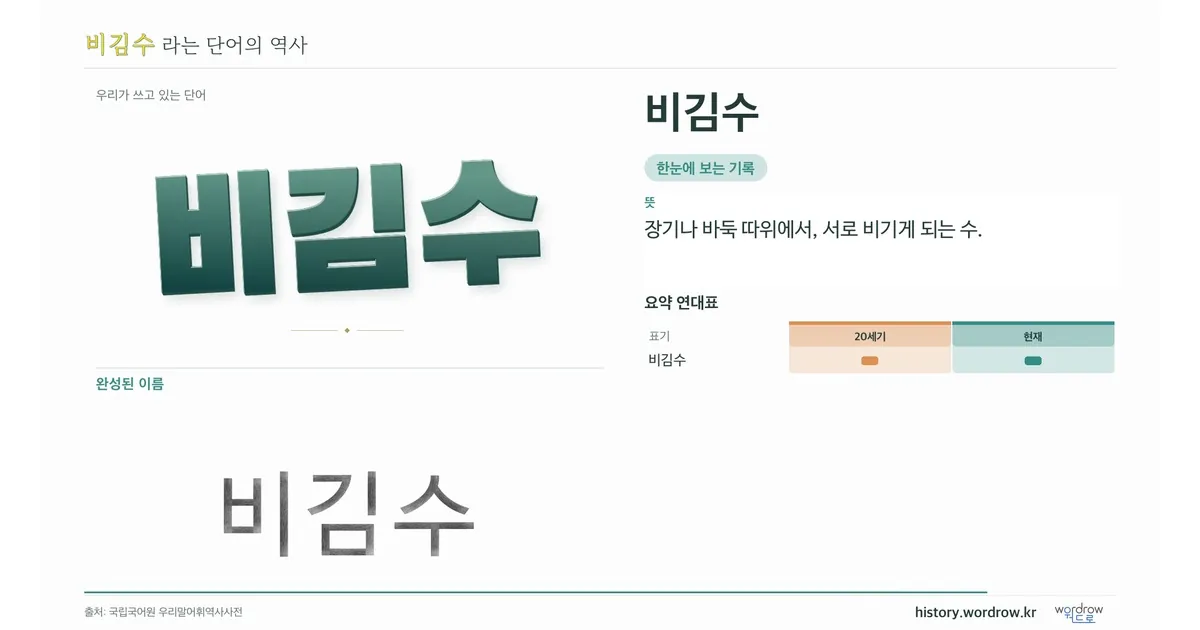 비김수 대표 이미지