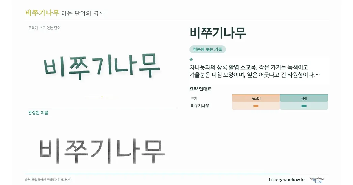 비쭈기나무 대표 이미지
