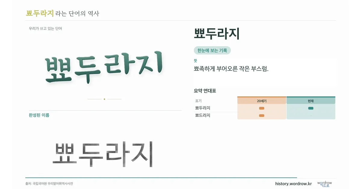 뾰두라지 대표 이미지