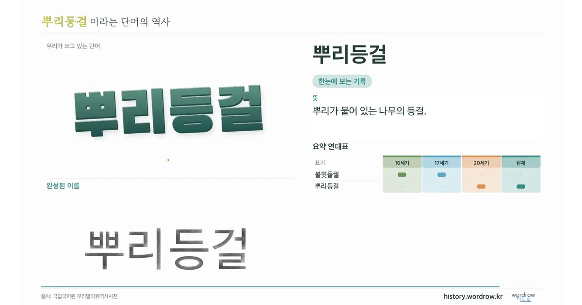 뿌리등걸 대표 이미지
