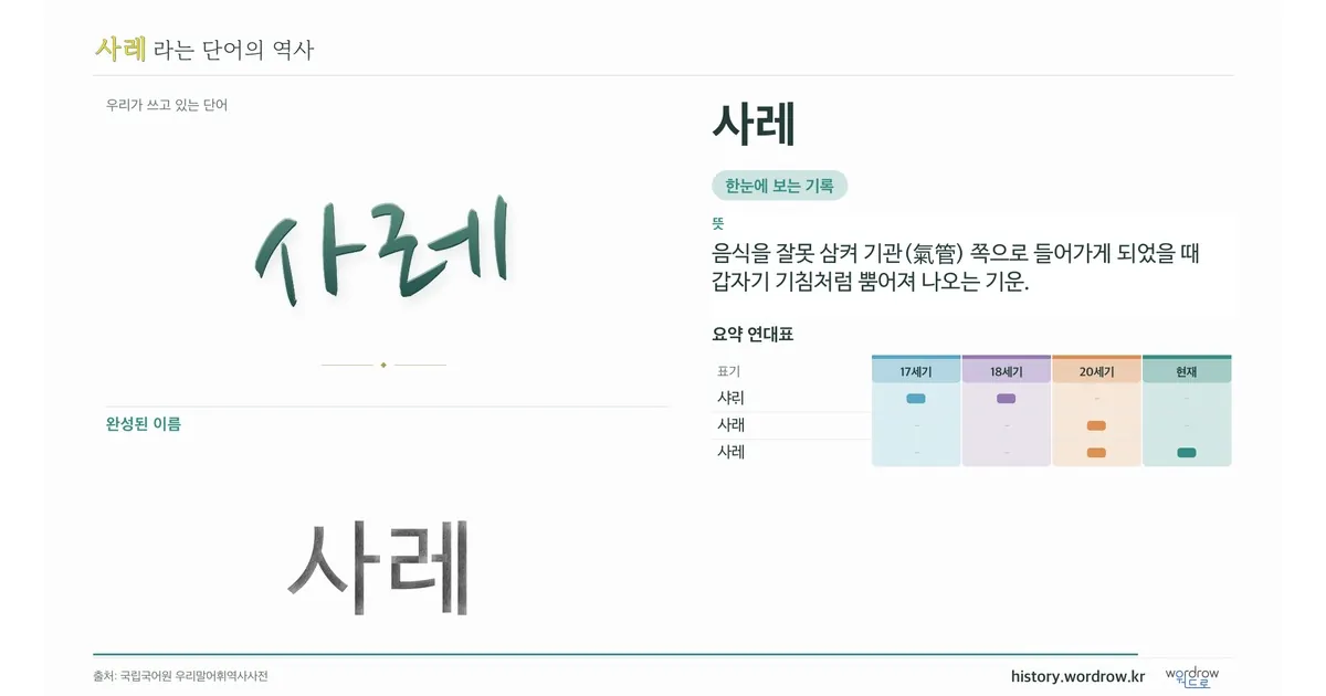 사레 대표 이미지