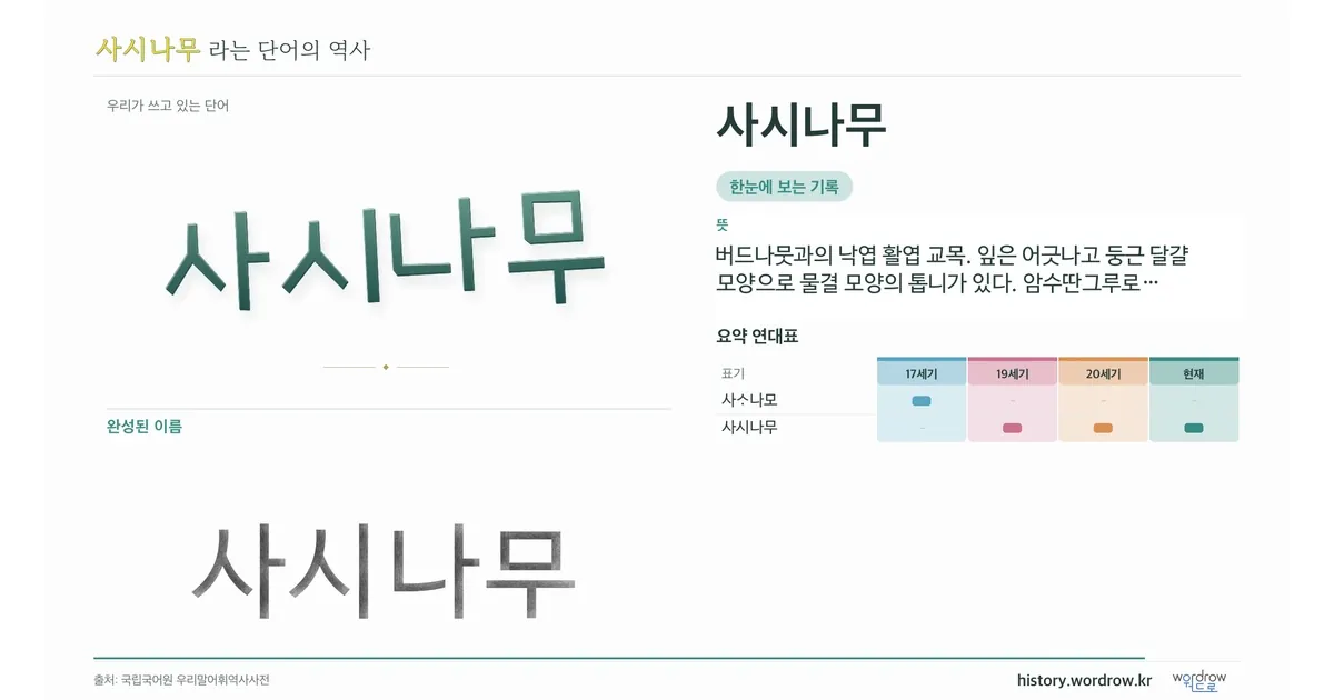 사시나무 대표 이미지