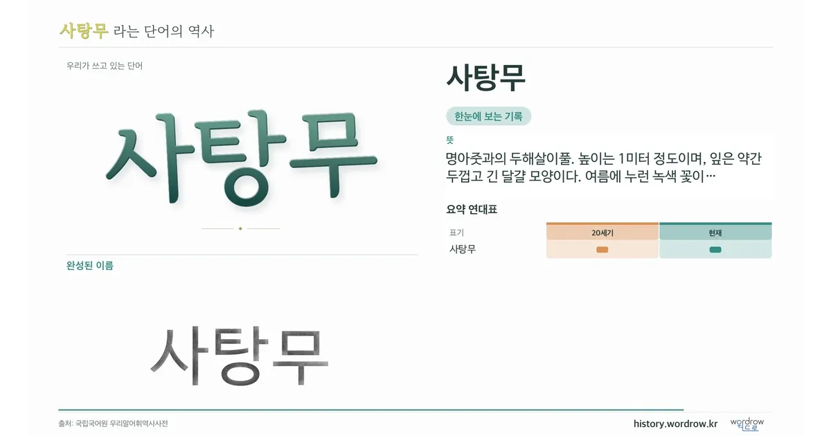 사탕무 대표 이미지