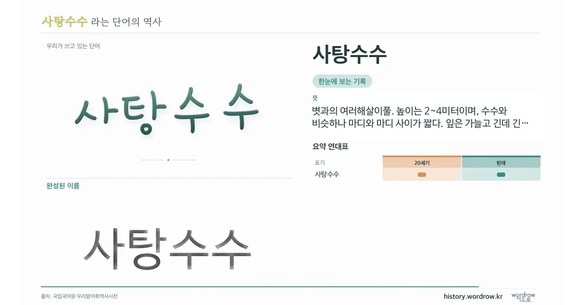 사탕수수 대표 이미지