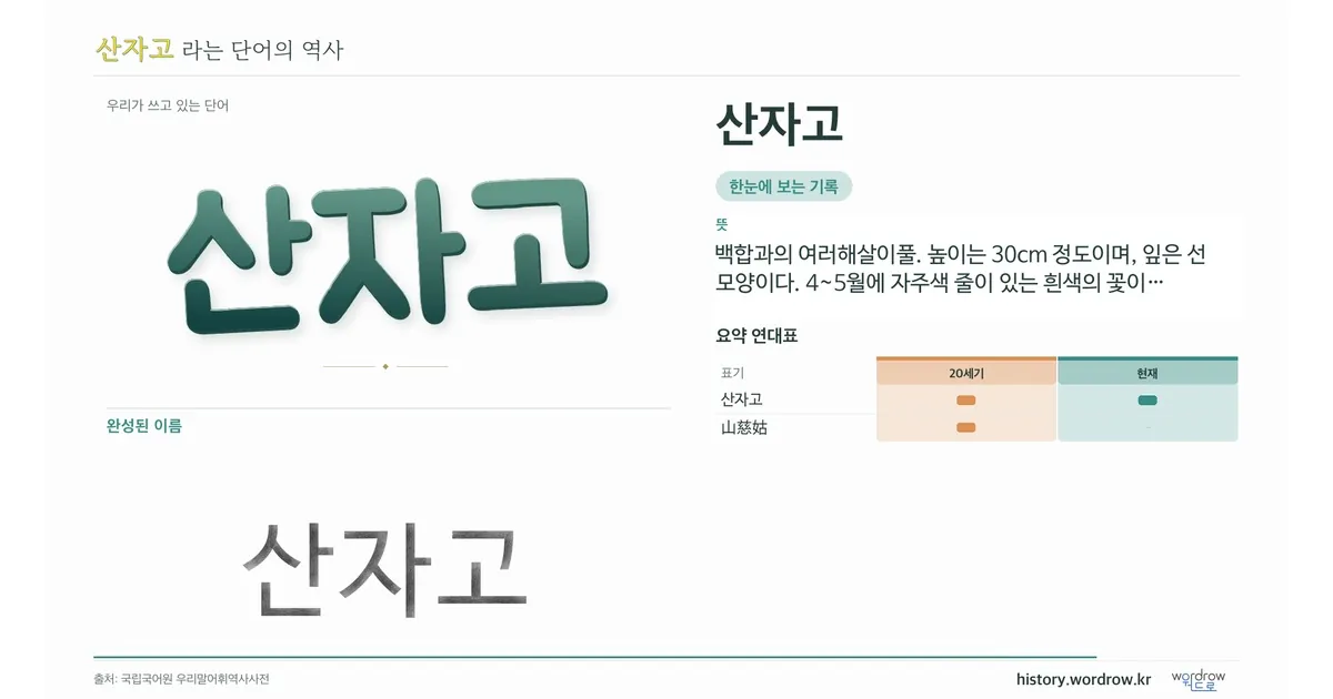 산자고 대표 이미지