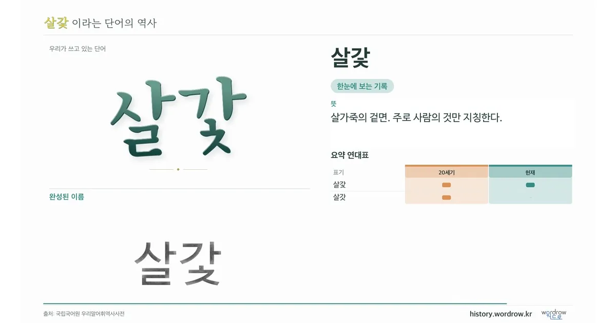 살갗 대표 이미지