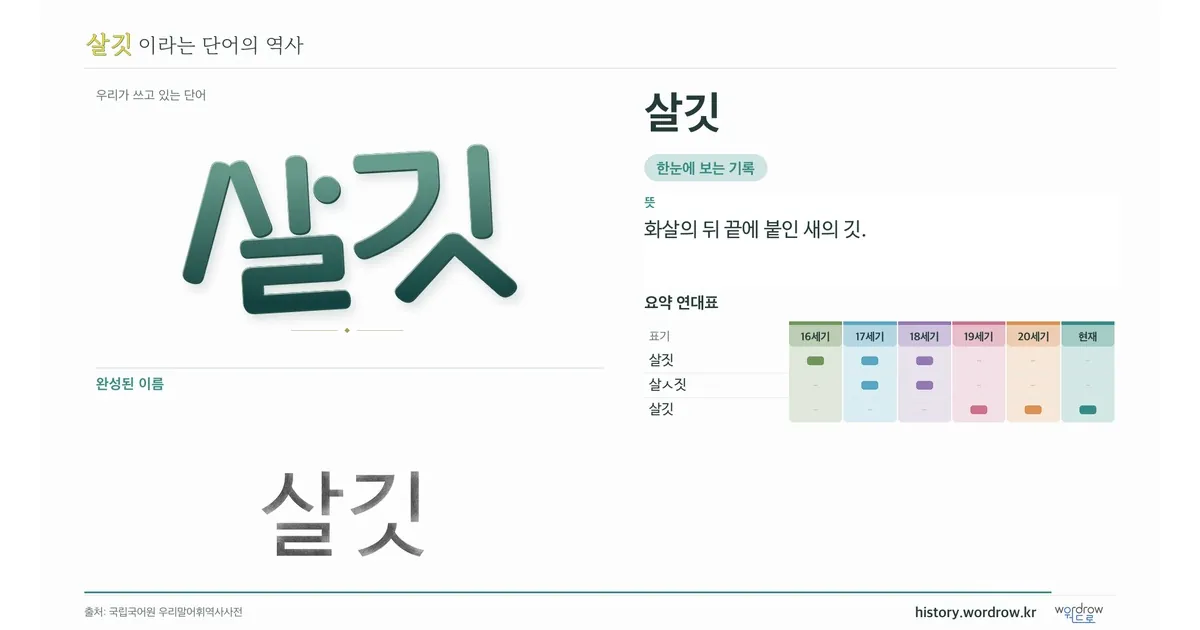 살깃 대표 이미지