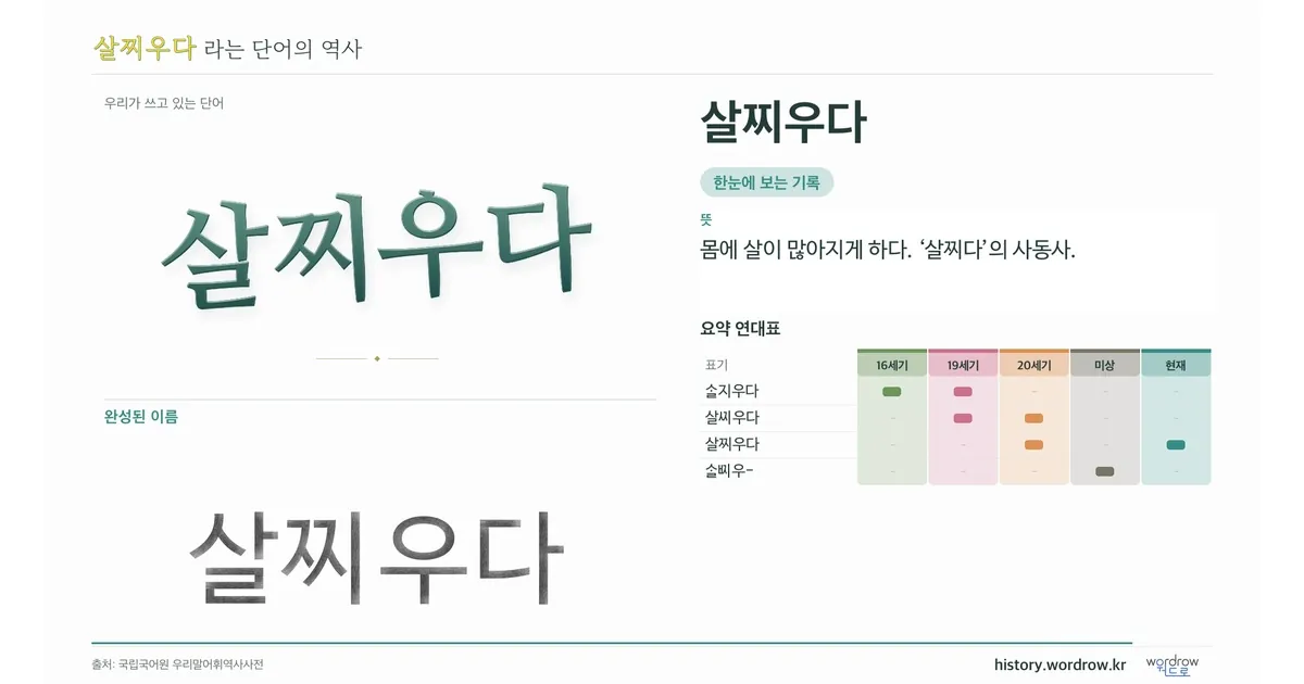 살찌우다 대표 이미지