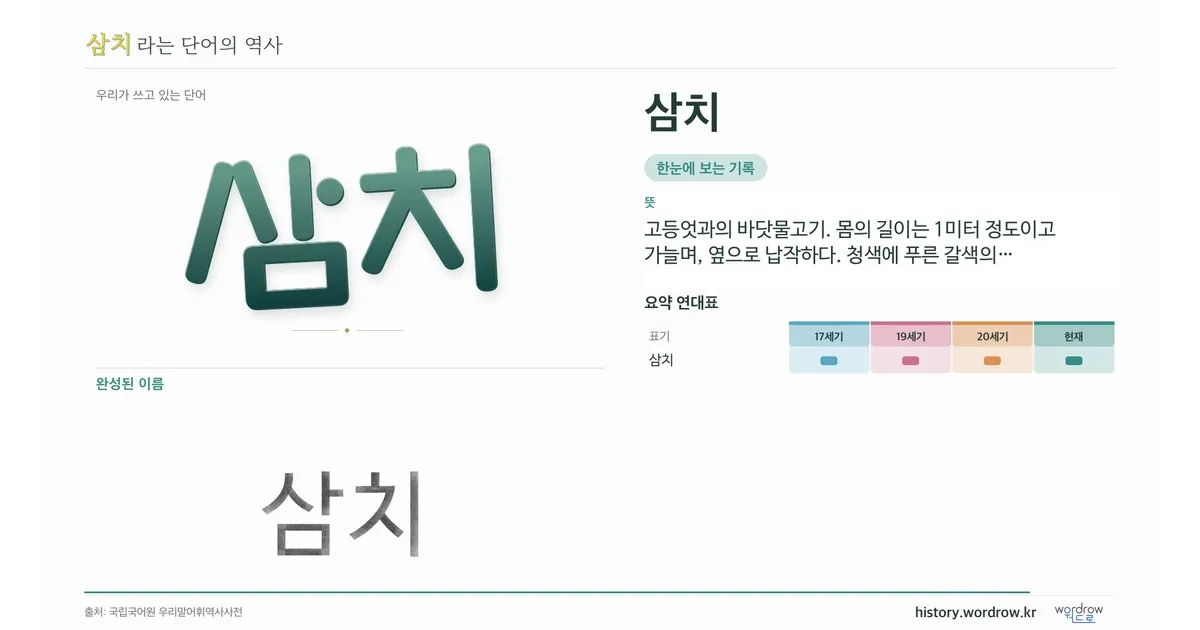 삼치 대표 이미지