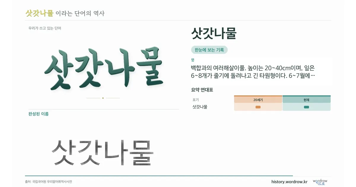 삿갓나물 대표 이미지