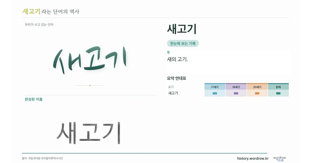 새고기 대표 이미지