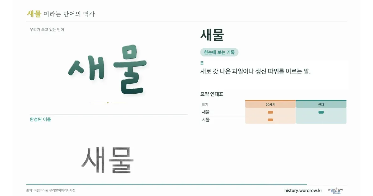 새물 대표 이미지