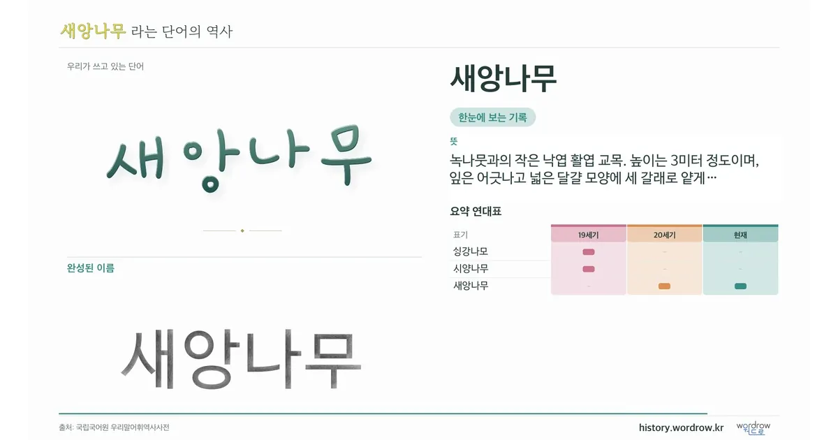새앙나무 대표 이미지