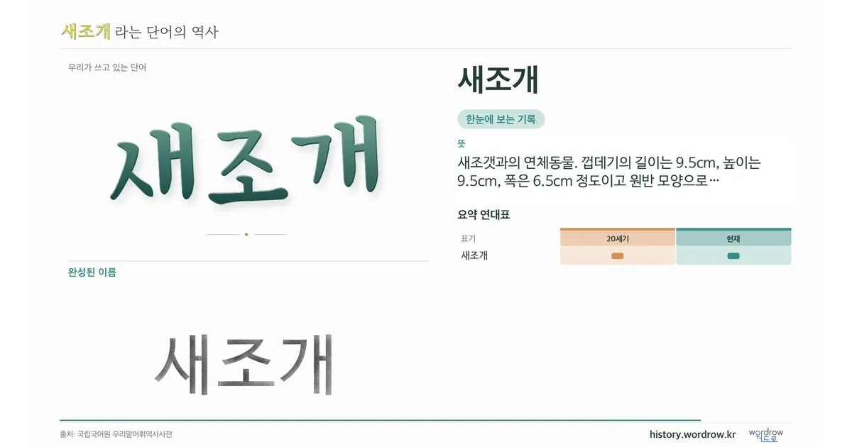 새조개 대표 이미지