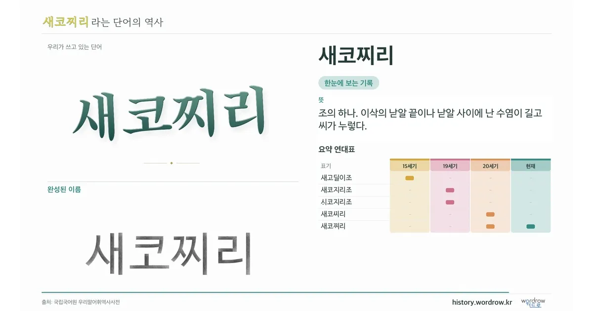 새코찌리 대표 이미지