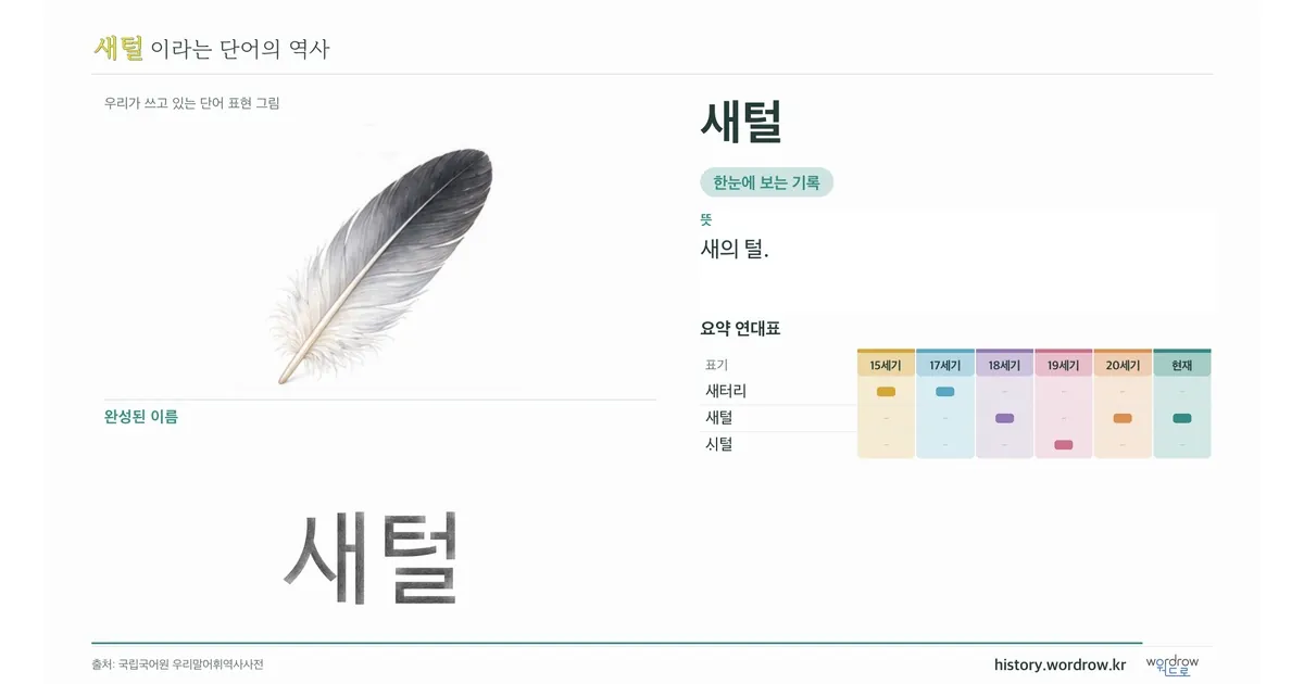 새털 대표 이미지