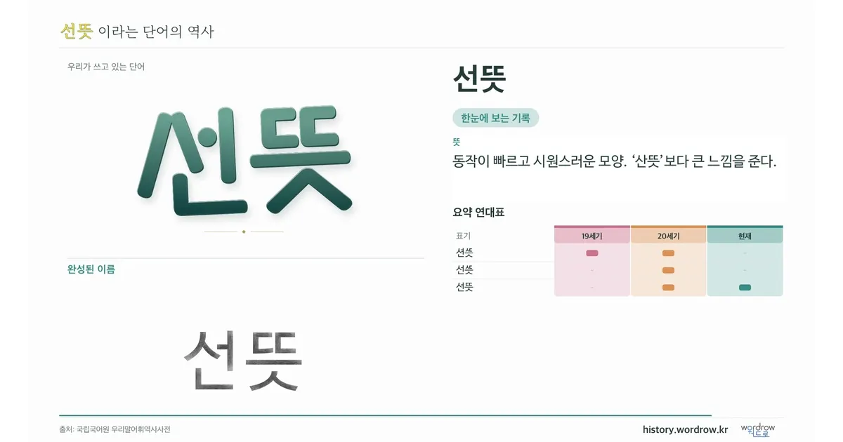 선뜻 대표 이미지