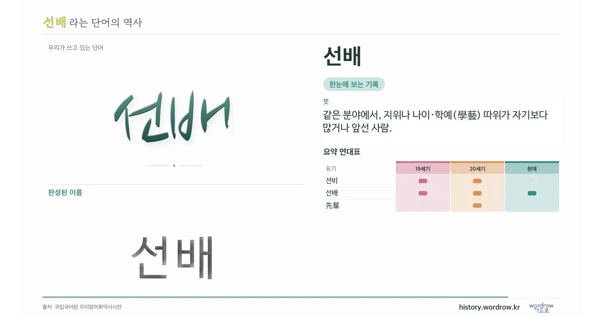 선배 대표 이미지