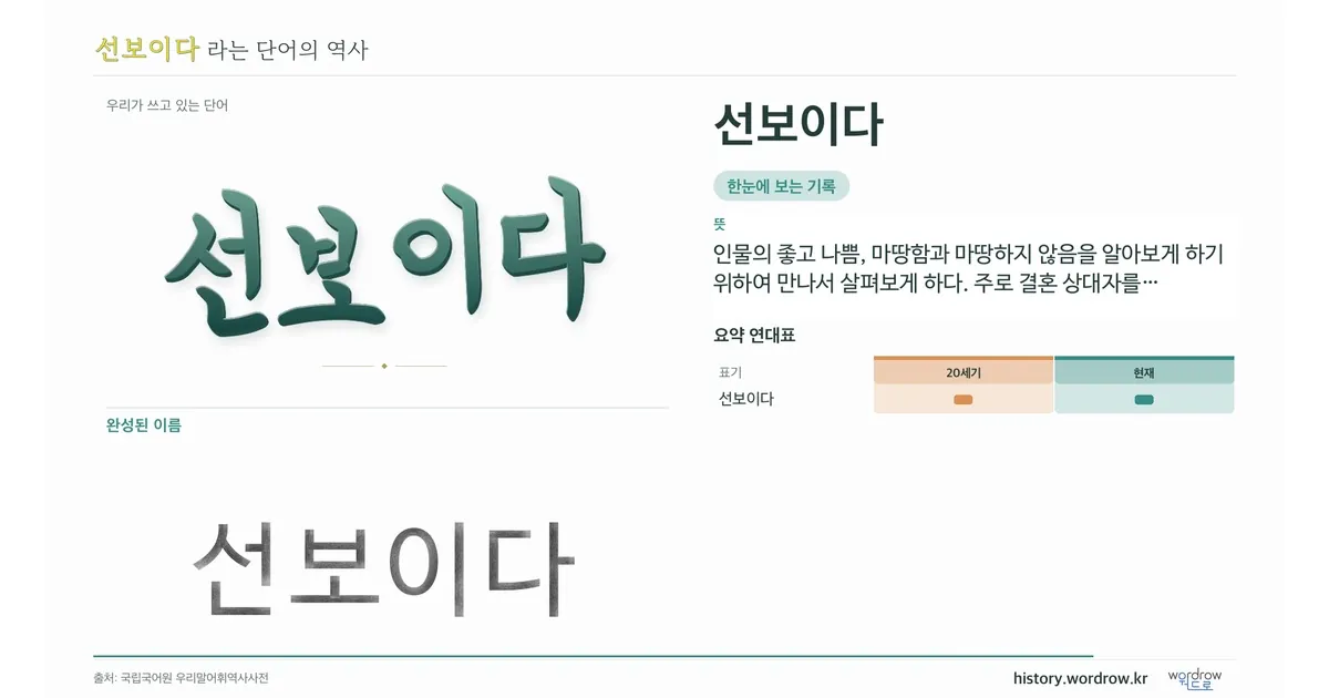 선보이다 대표 이미지