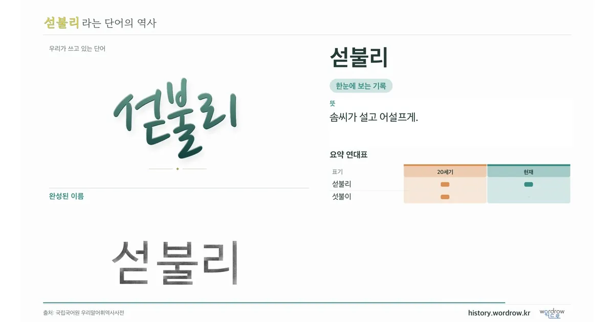 섣불리 대표 이미지