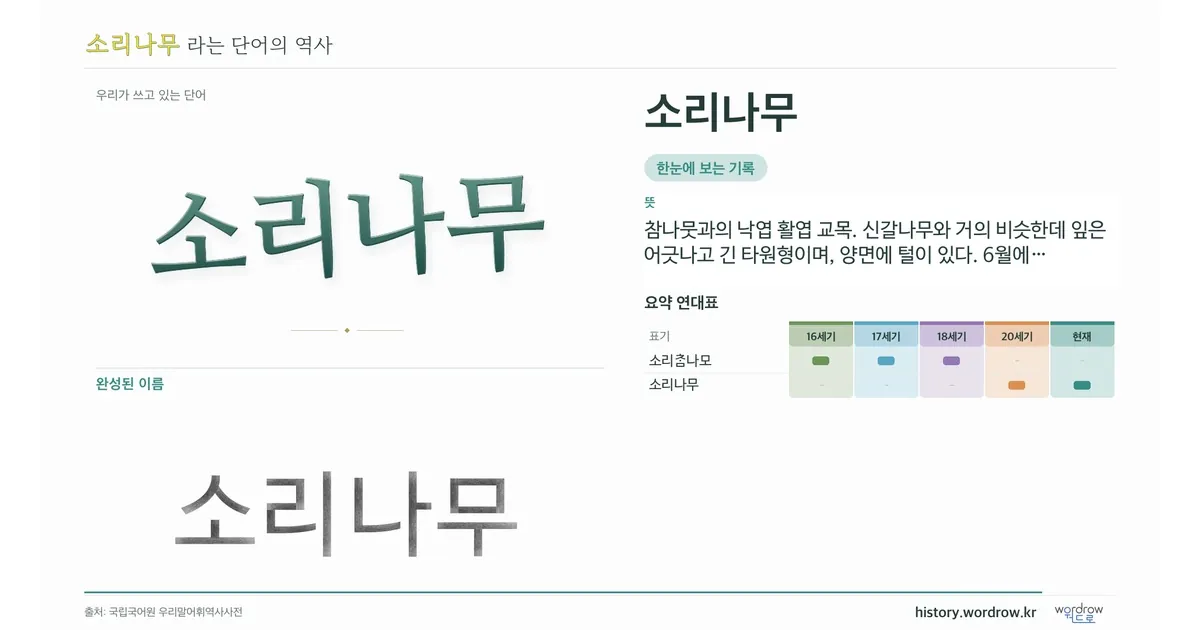 소리나무 대표 이미지
