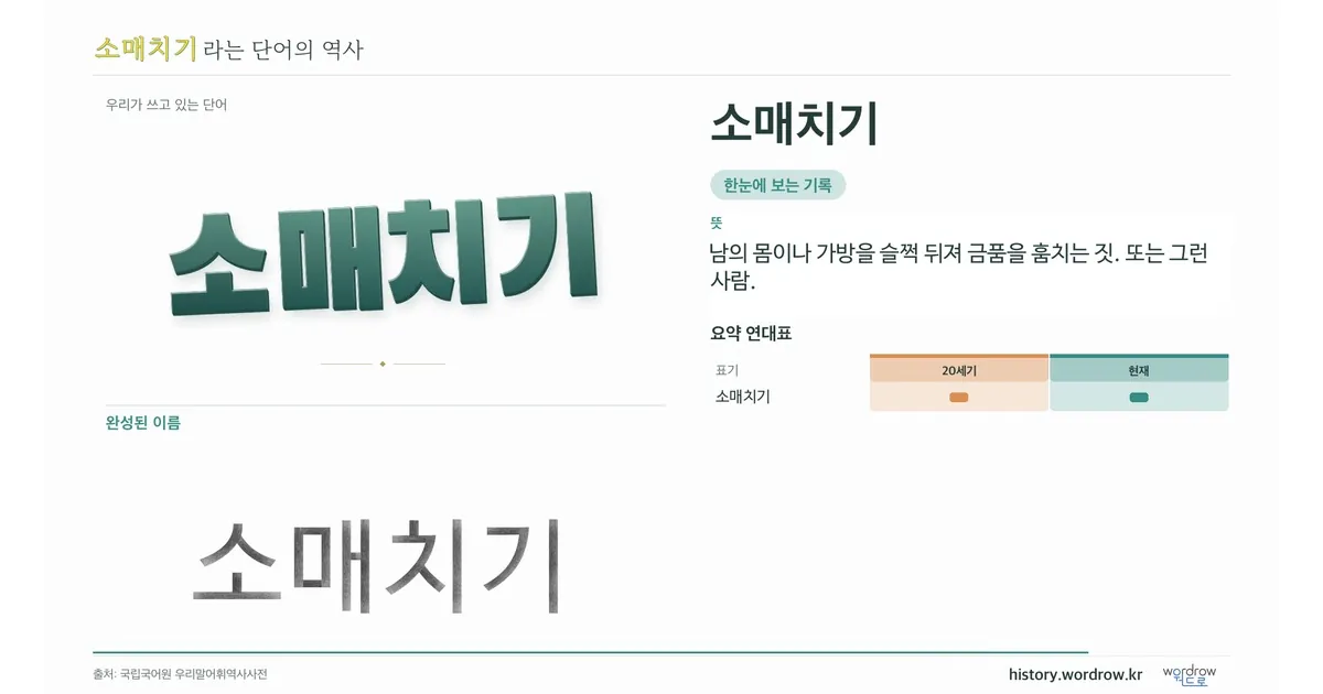 소매치기 대표 이미지