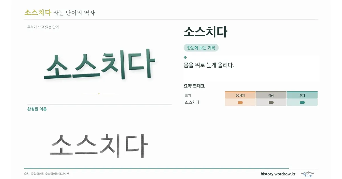 소스치다 대표 이미지