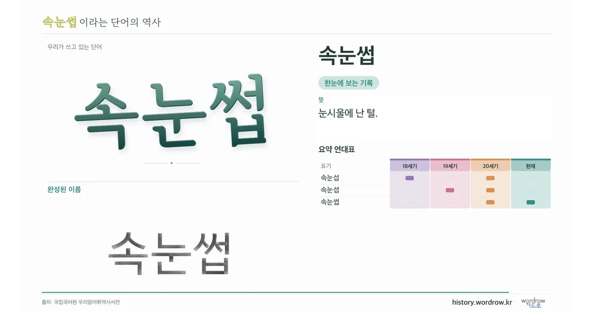 속눈썹 대표 이미지