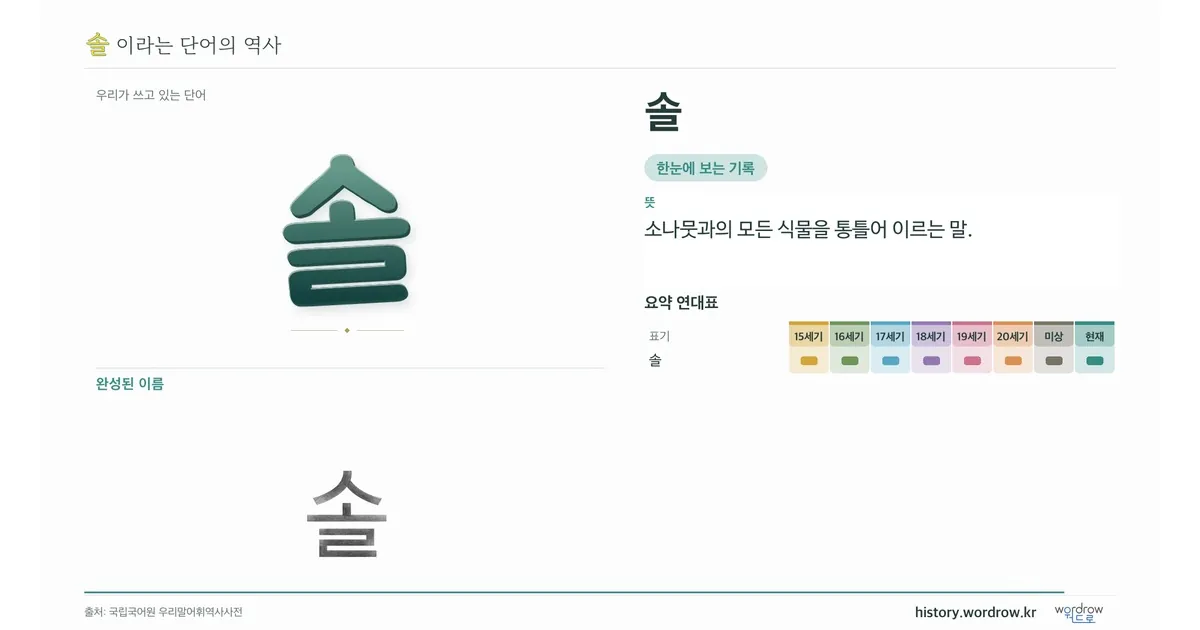 솔 대표 이미지