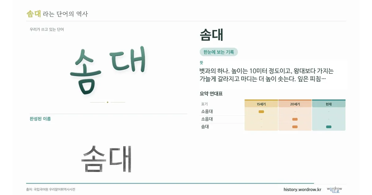솜대 대표 이미지