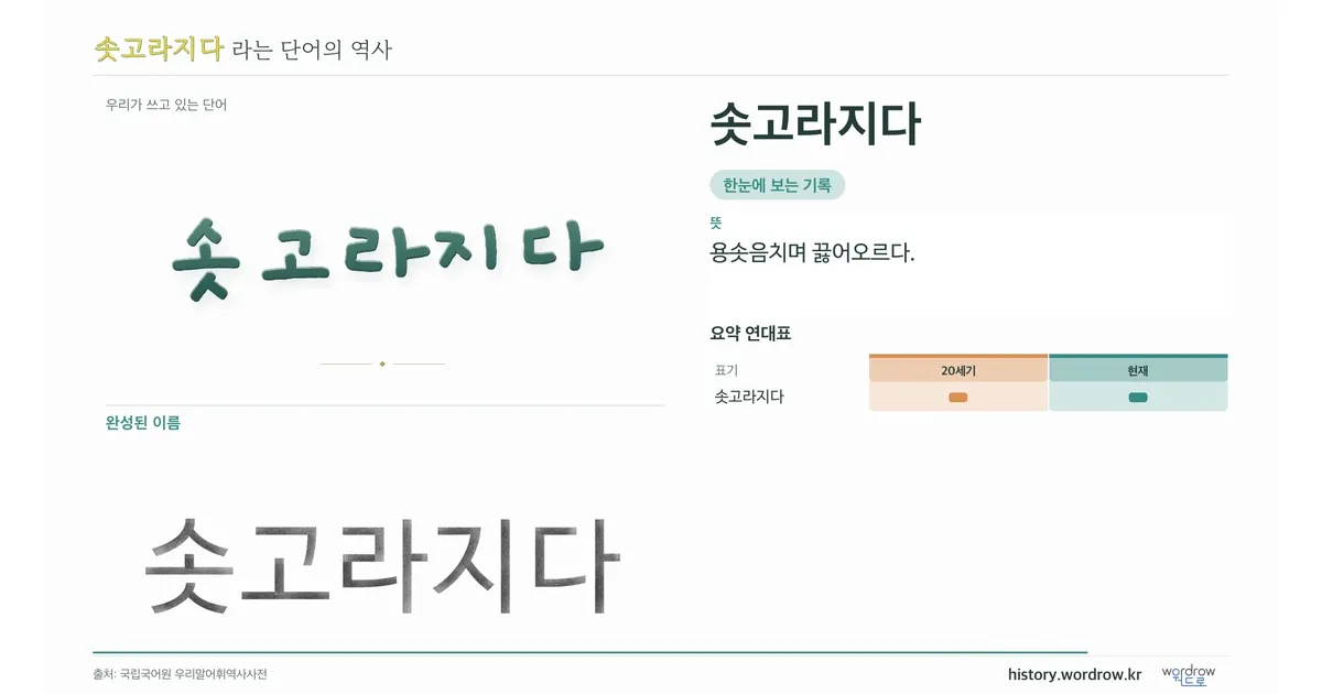 솟고라지다 대표 이미지