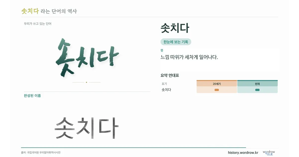 솟치다 대표 이미지