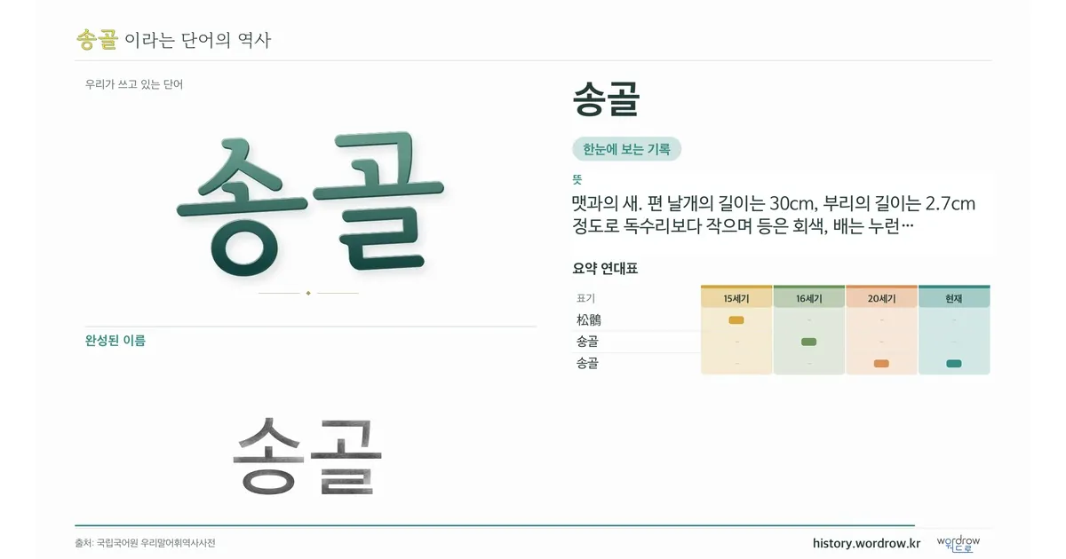 송골 대표 이미지