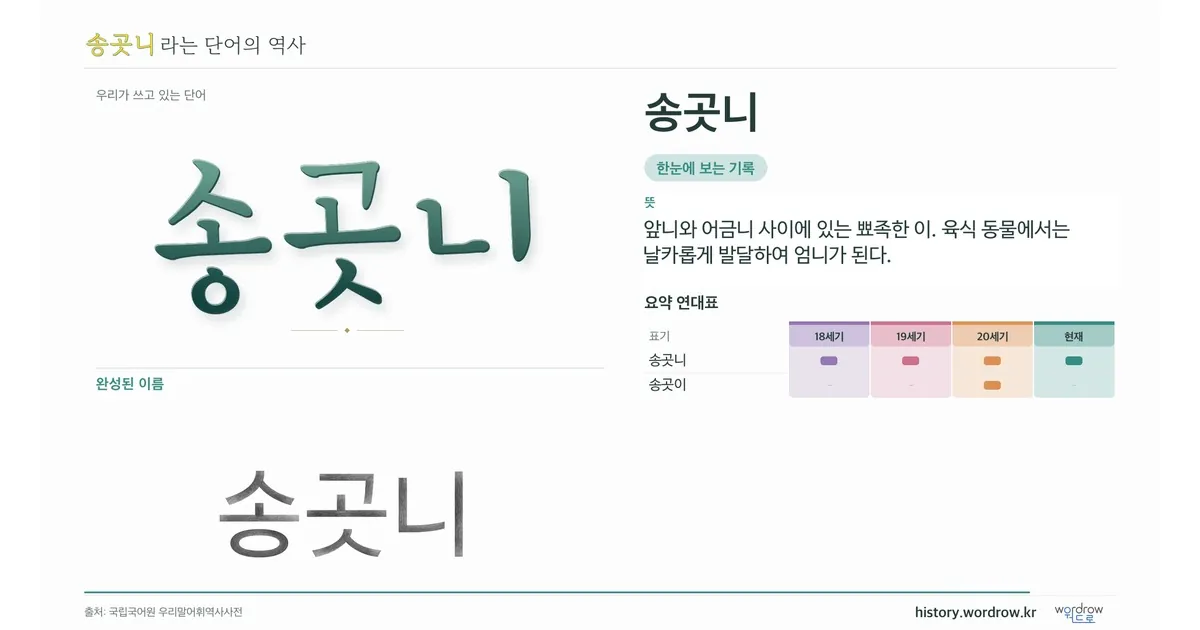 송곳니 대표 이미지
