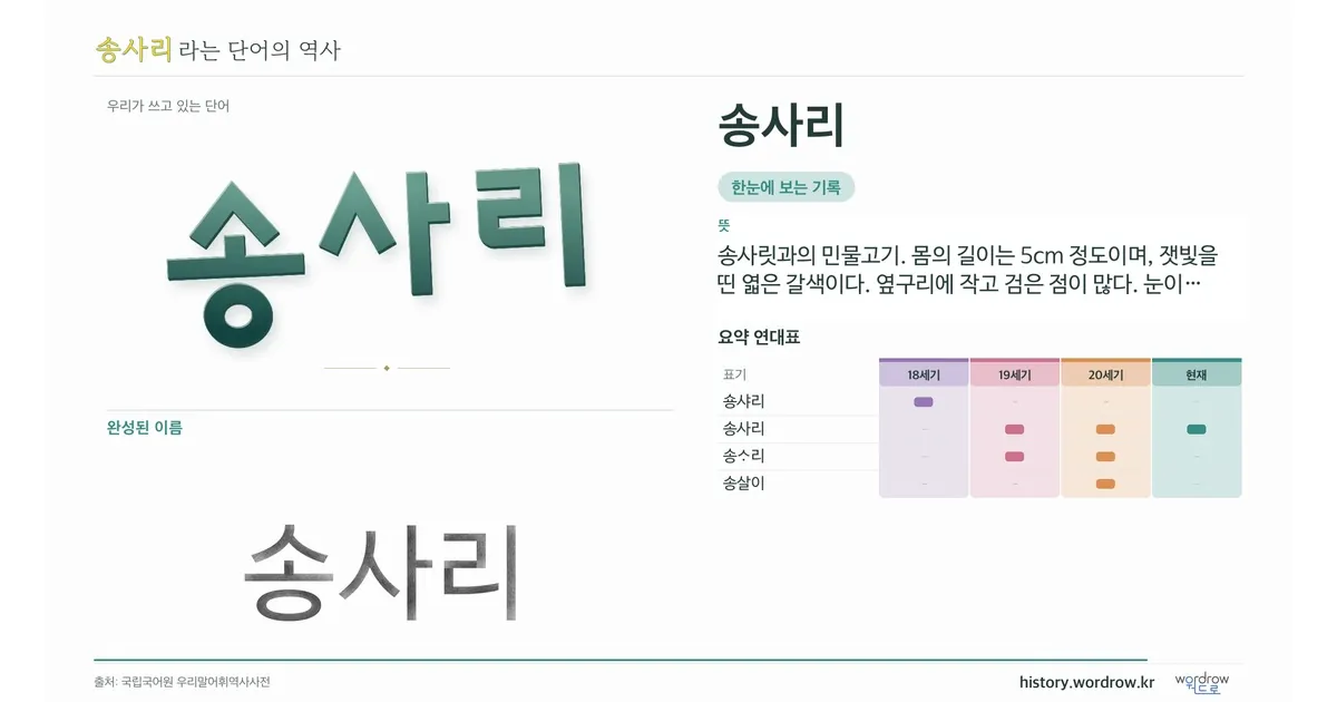 송사리 대표 이미지