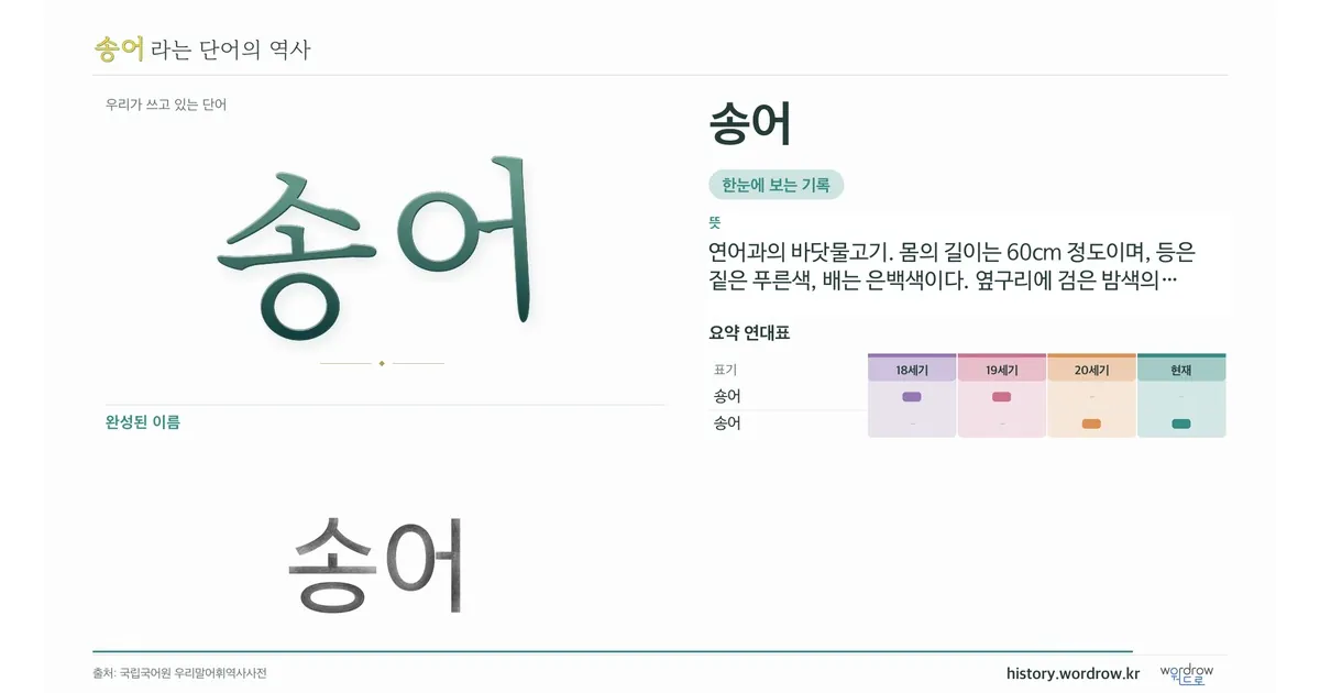 송어 대표 이미지