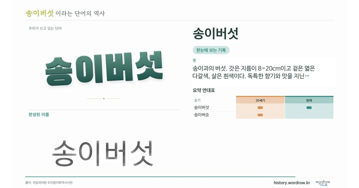 송이버섯 대표 이미지