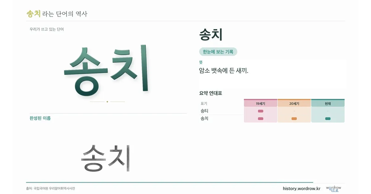 송치 대표 이미지