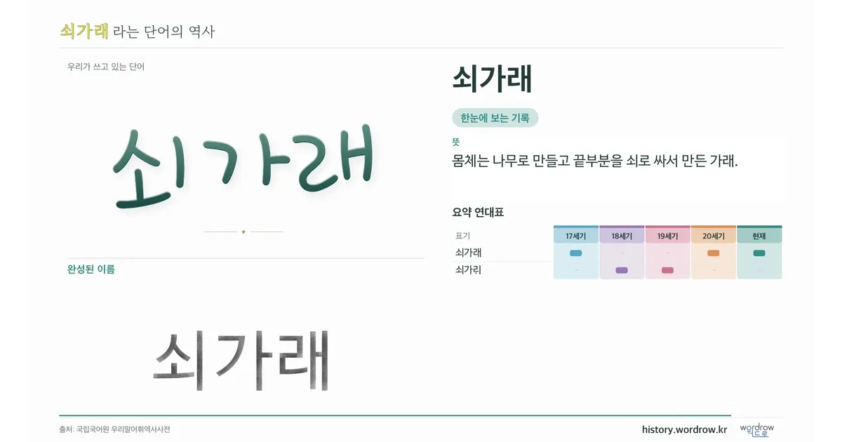쇠가래 대표 이미지