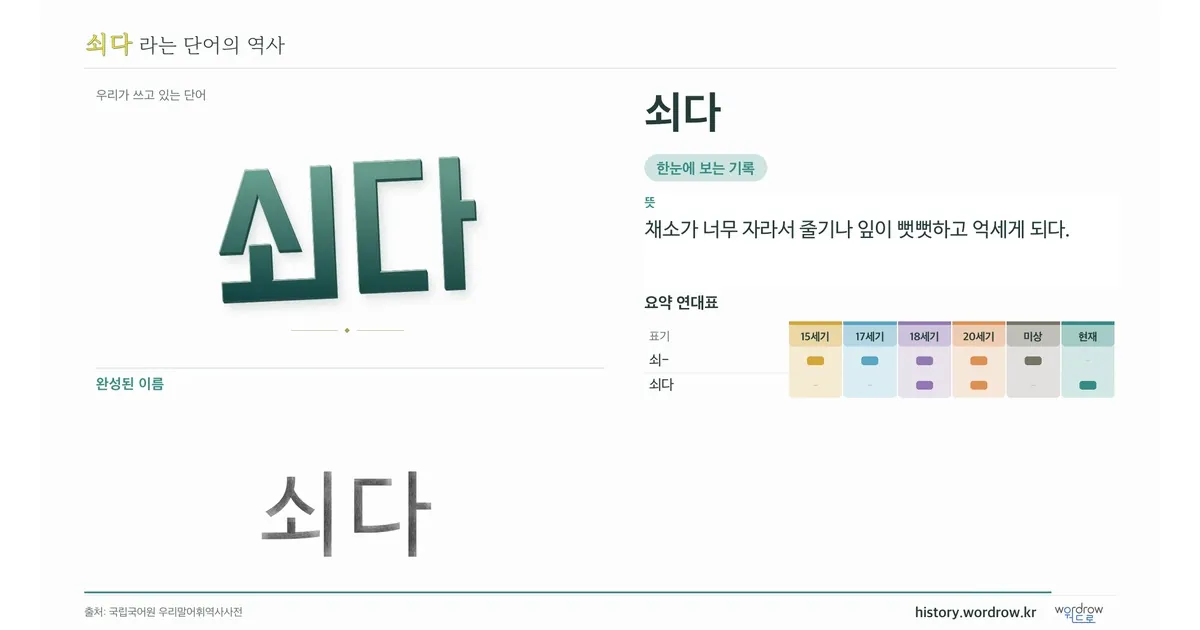 쇠다 대표 이미지