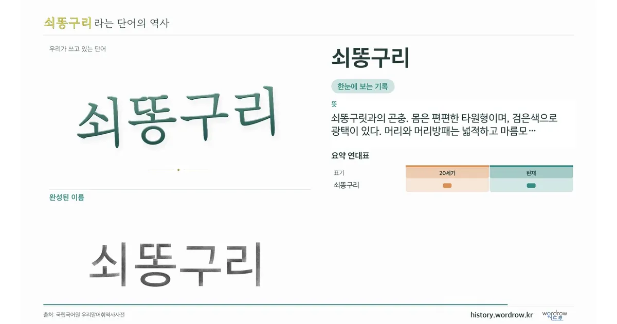 쇠똥구리 대표 이미지