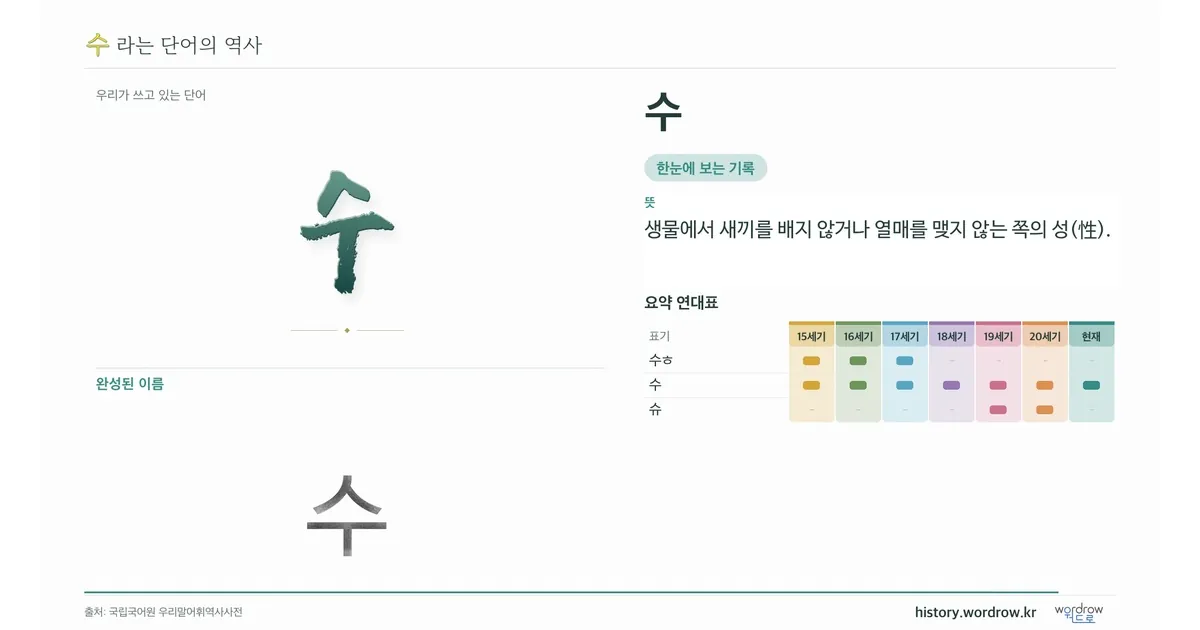 수 대표 이미지