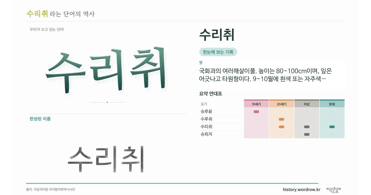 수리취 대표 이미지