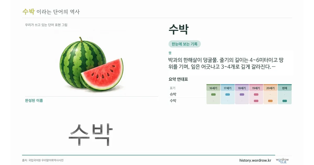 수박 대표 이미지