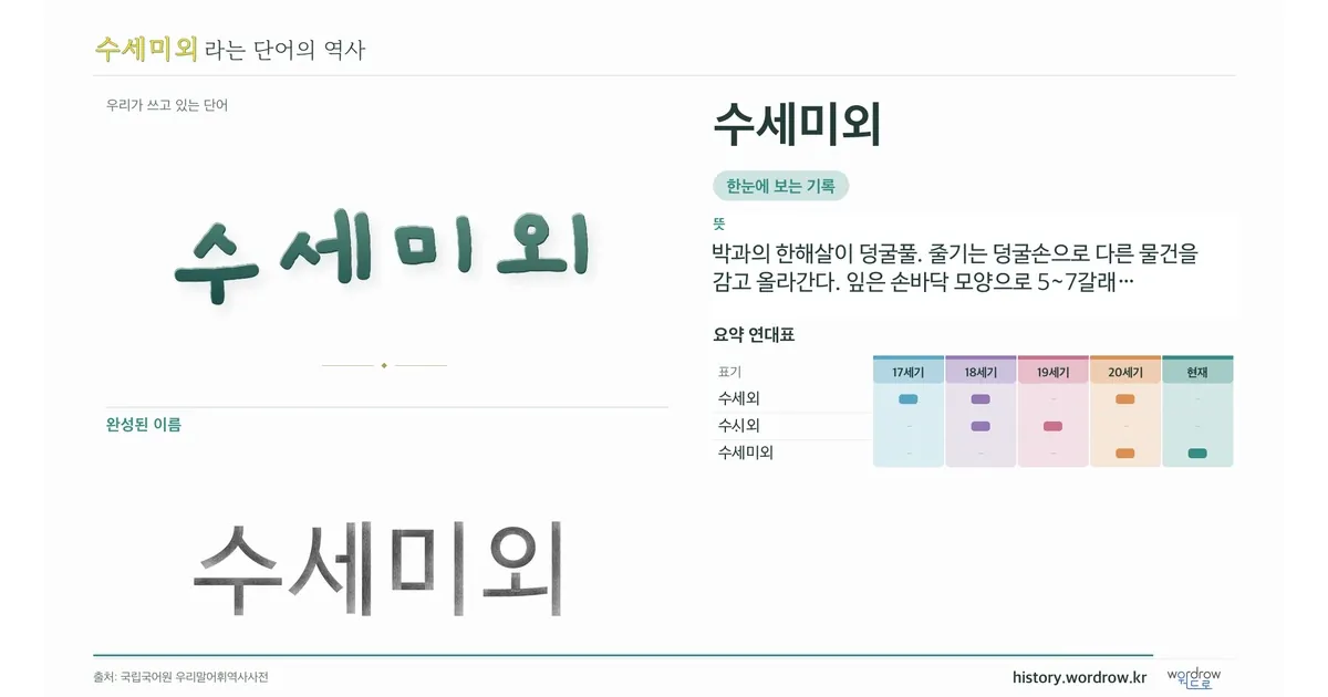 수세미외 대표 이미지