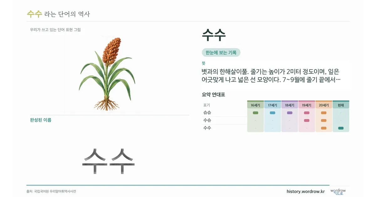 수수 대표 이미지