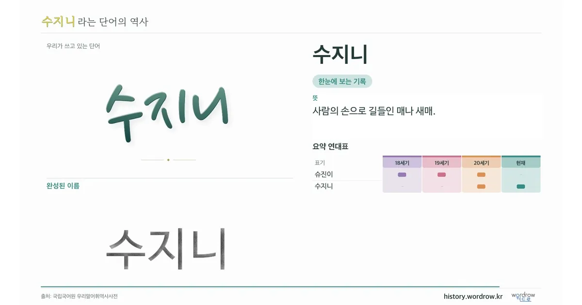 수지니 대표 이미지